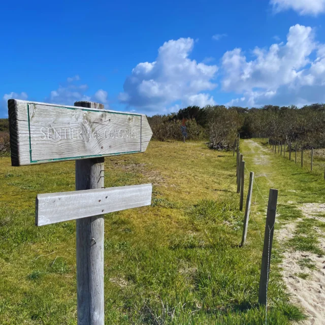 Balade Sentier