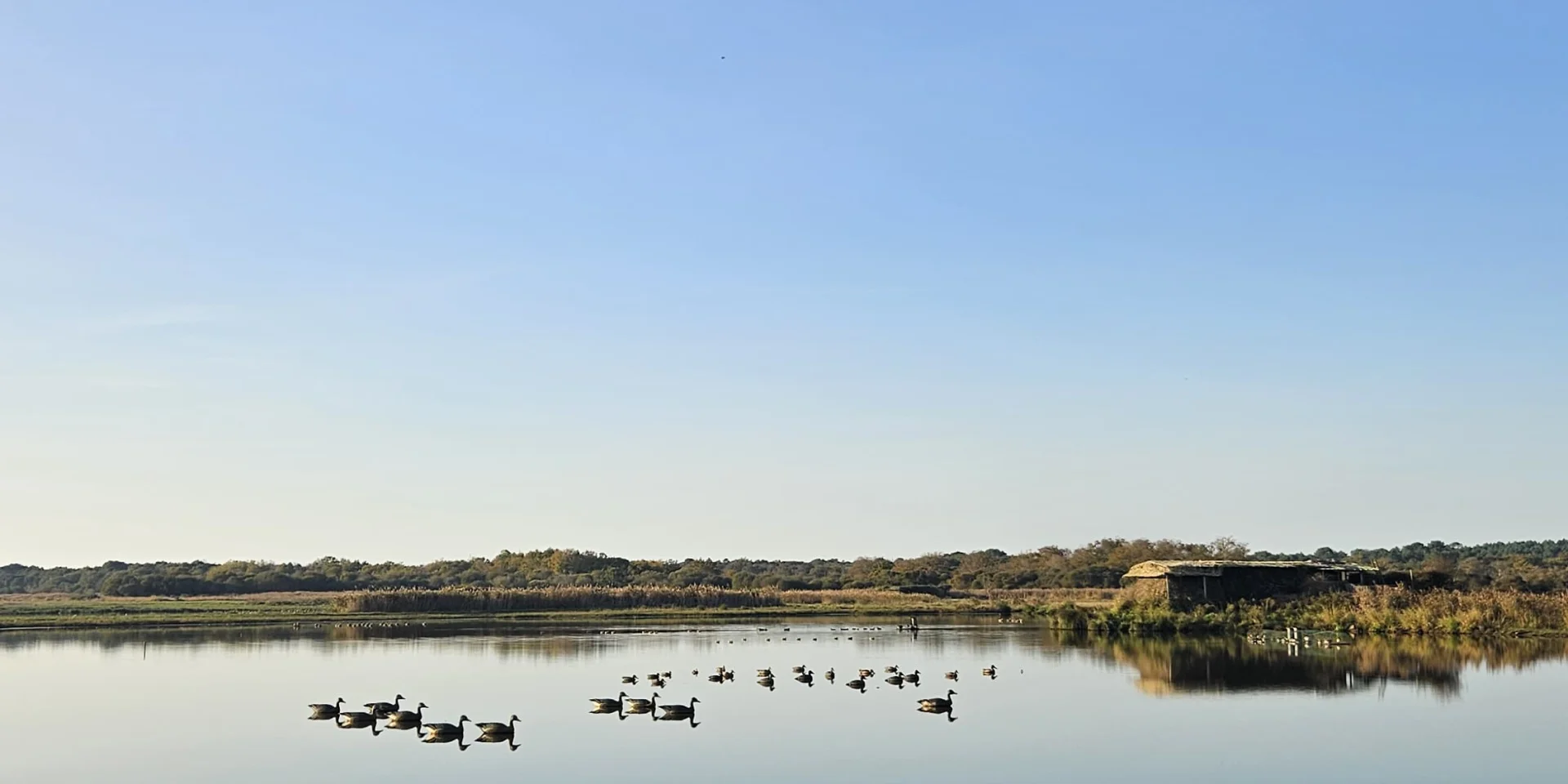 Whatsapp Bild 2024 11 22 A 16.10.25 C6db21a3