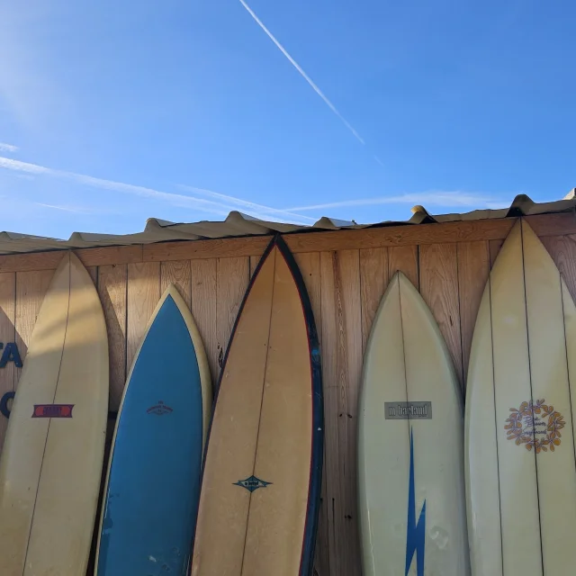 20240914 095819 1 Rotated