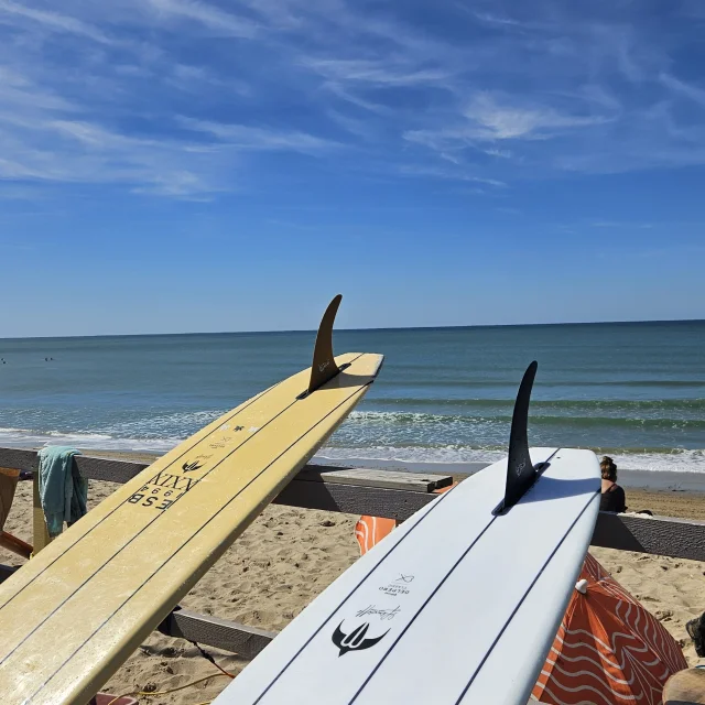 20240914 133232 Rotated