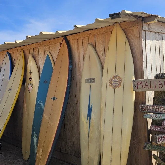 20240914 155650 Rotated