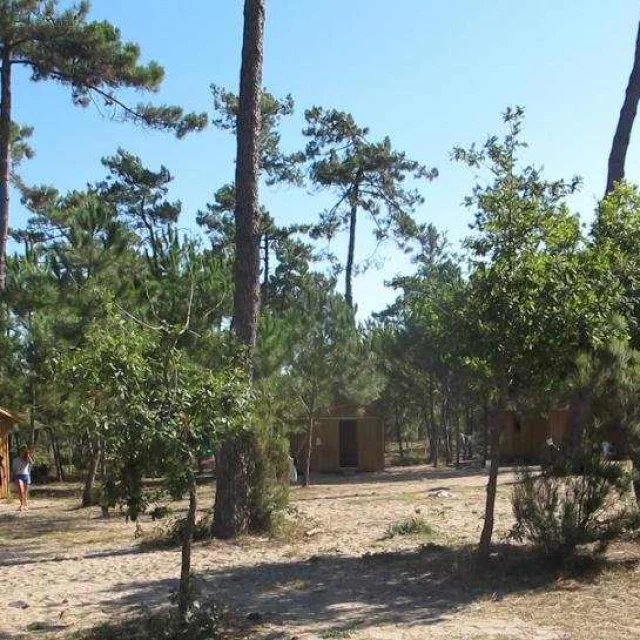 Chalets West East